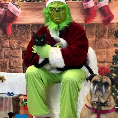 Midnight with the Grinch at Hanover Park Animal Care Center